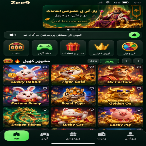 Zee9 میں بنگو کے بنیادی اصول اور فیصلوں کی اردو رہنمائی